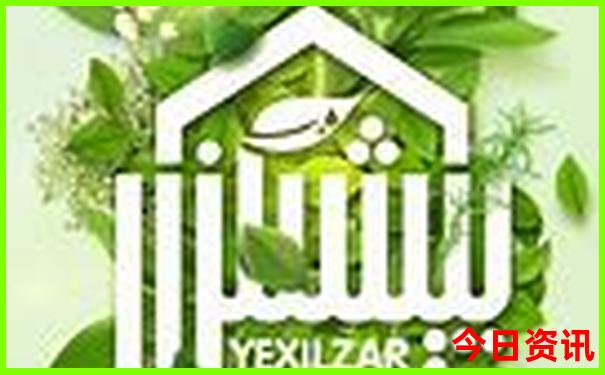 新澳天天彩正版资料查询官网