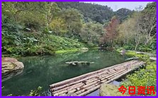 过年适合旅游的城市有哪些